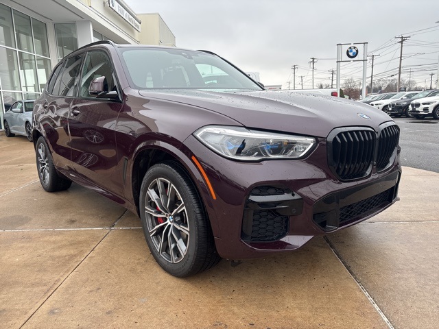 2022 BMW X5 M50i's photo