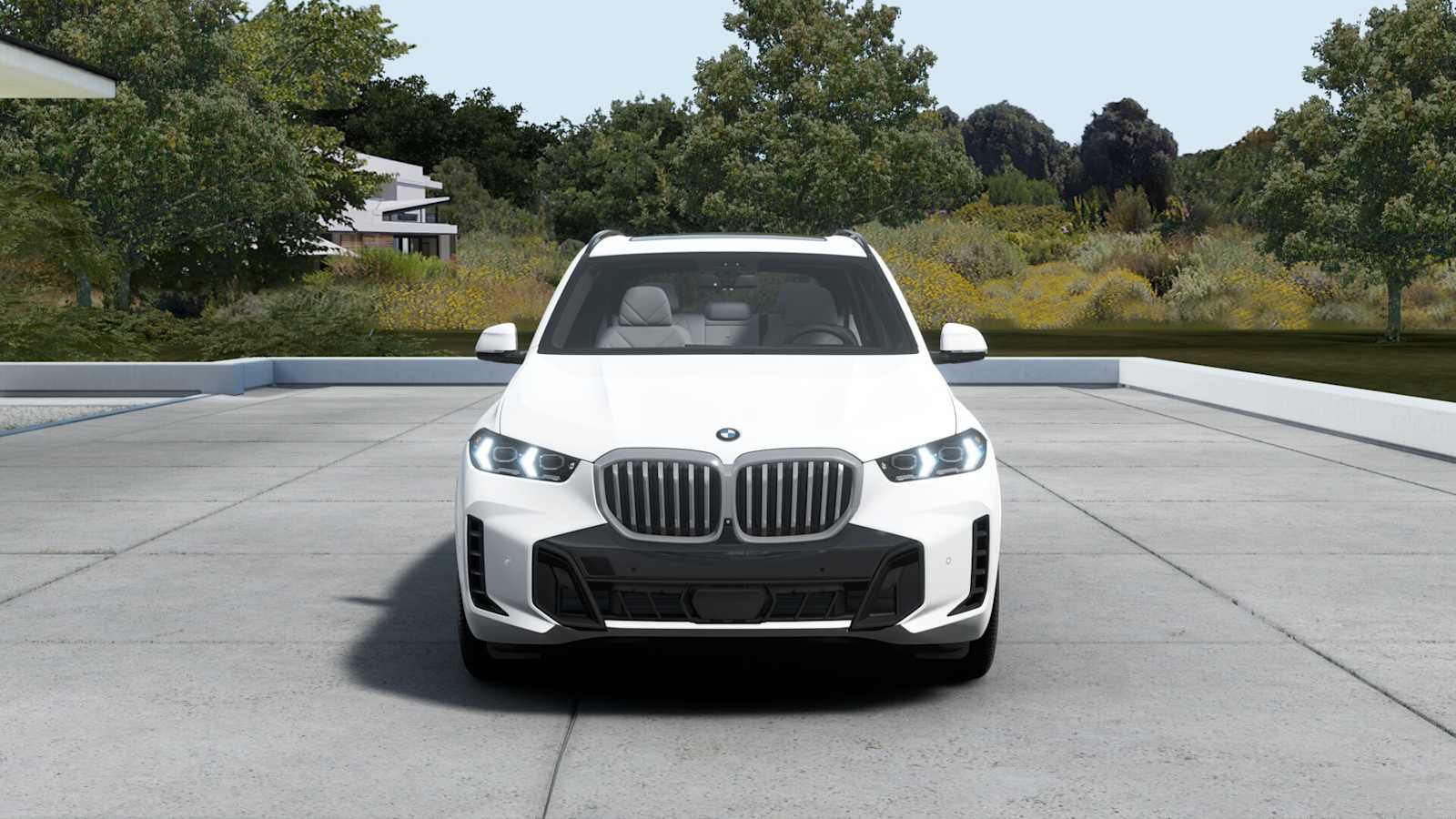 2026 Bmw X5 xDrive50e photo 3