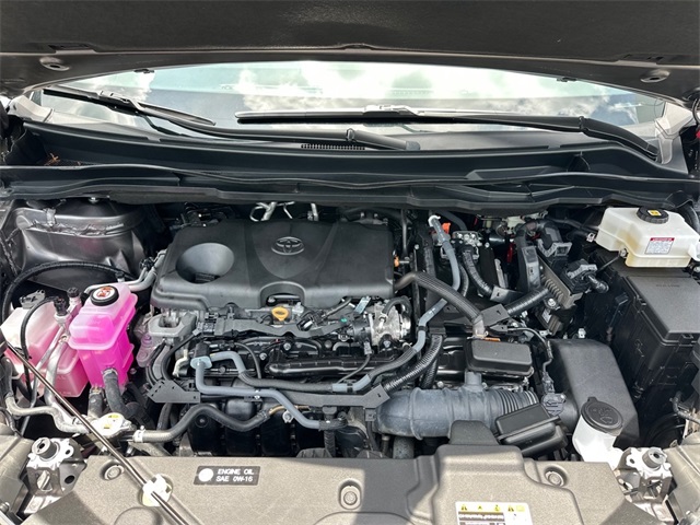 2024 Toyota Sienna XLE photo 25