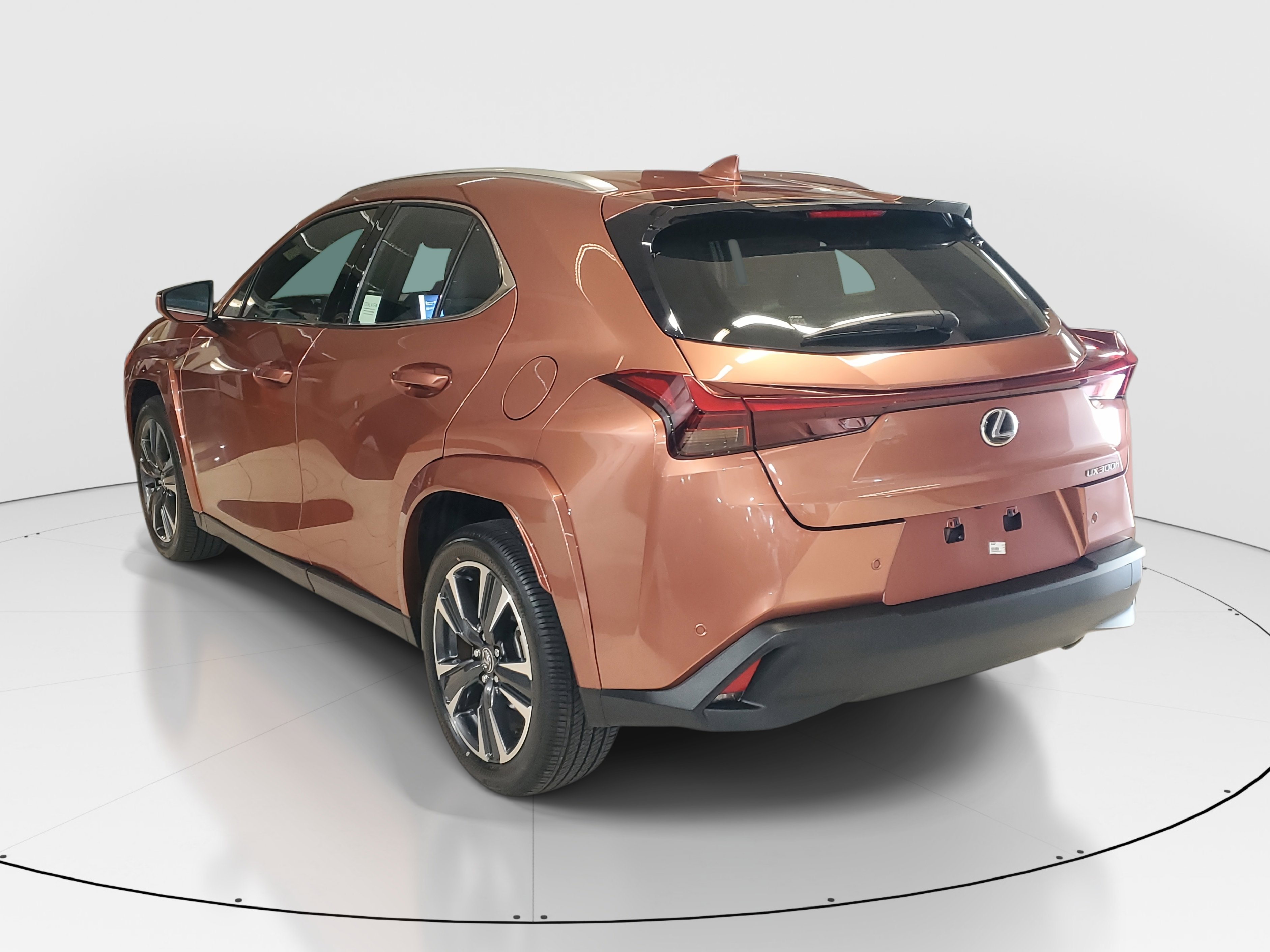 2025 Lexus UX photo 6