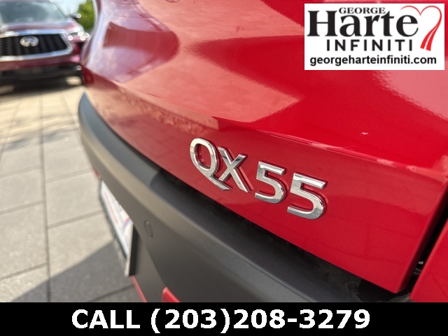 2025 Infiniti QX55 Sensory photo 30