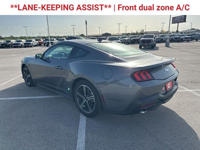 2025 Ford Mustang EcoBoost photo 5