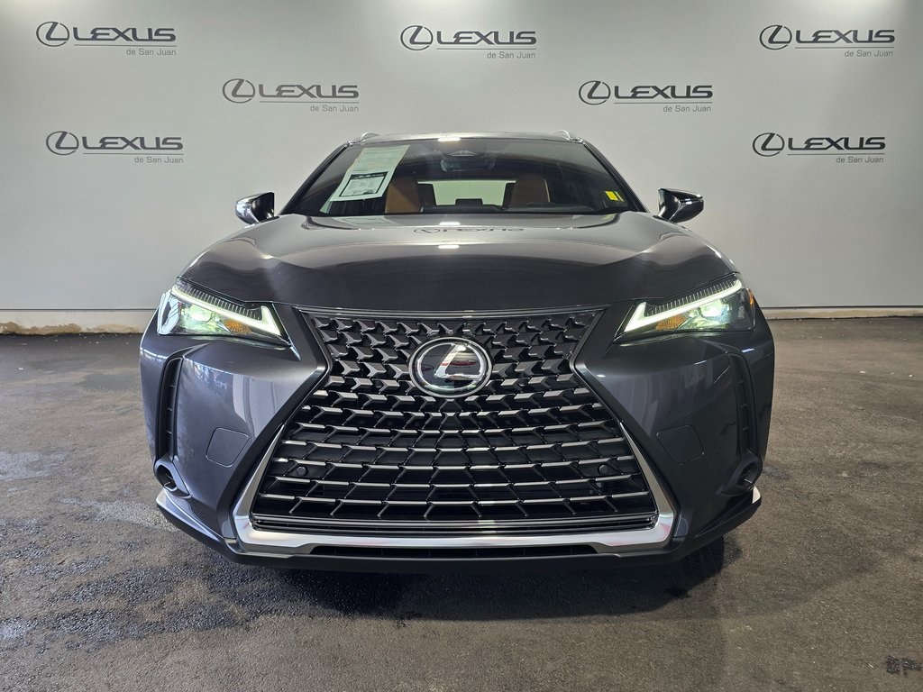 2025 Lexus UX photo 6