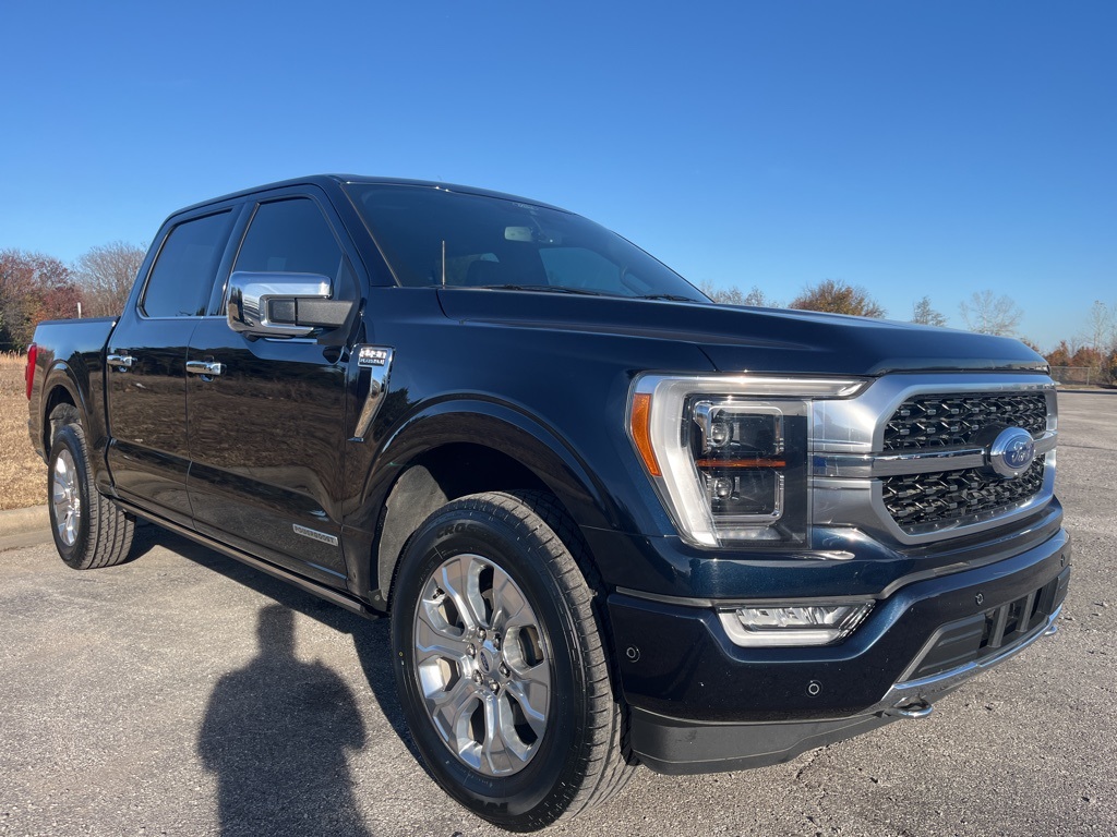 2022 Ford F-150 Platinum photo 3