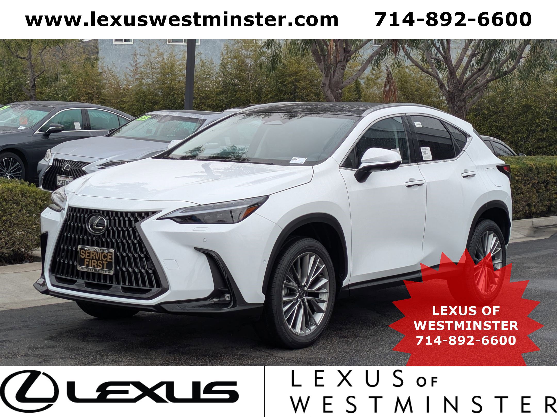 2026 Lexus NX Hybrid 350h's photo