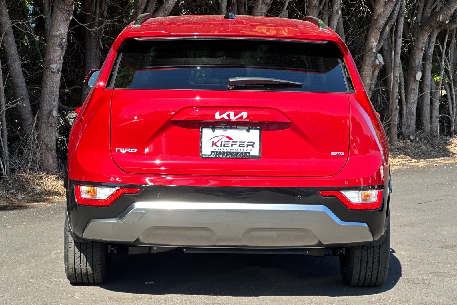 2025 Kia Niro EX Touring photo 2