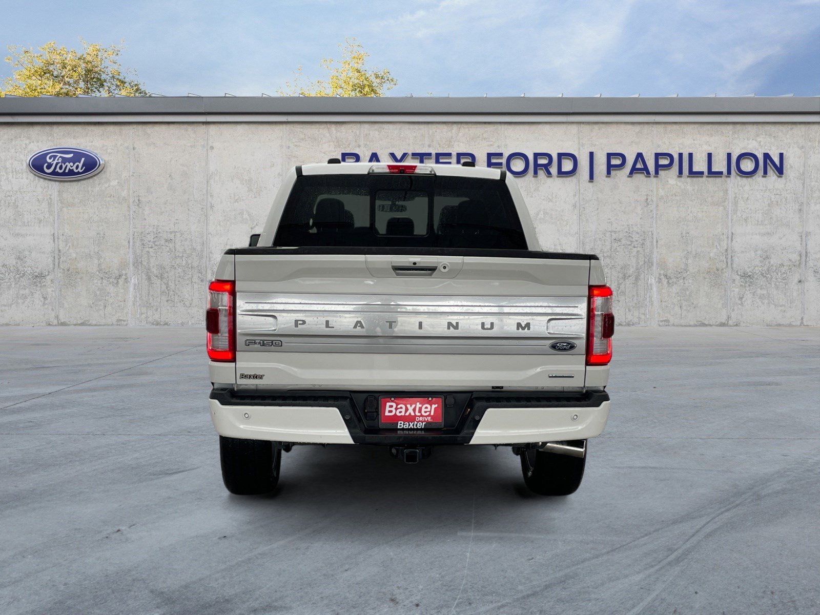 2022 Ford F-150 Platinum photo 3