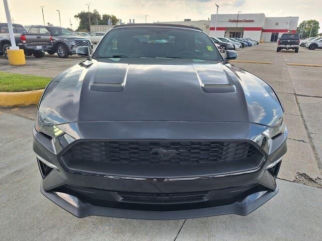 2019 Ford Mustang EcoBoost Premium photo 6