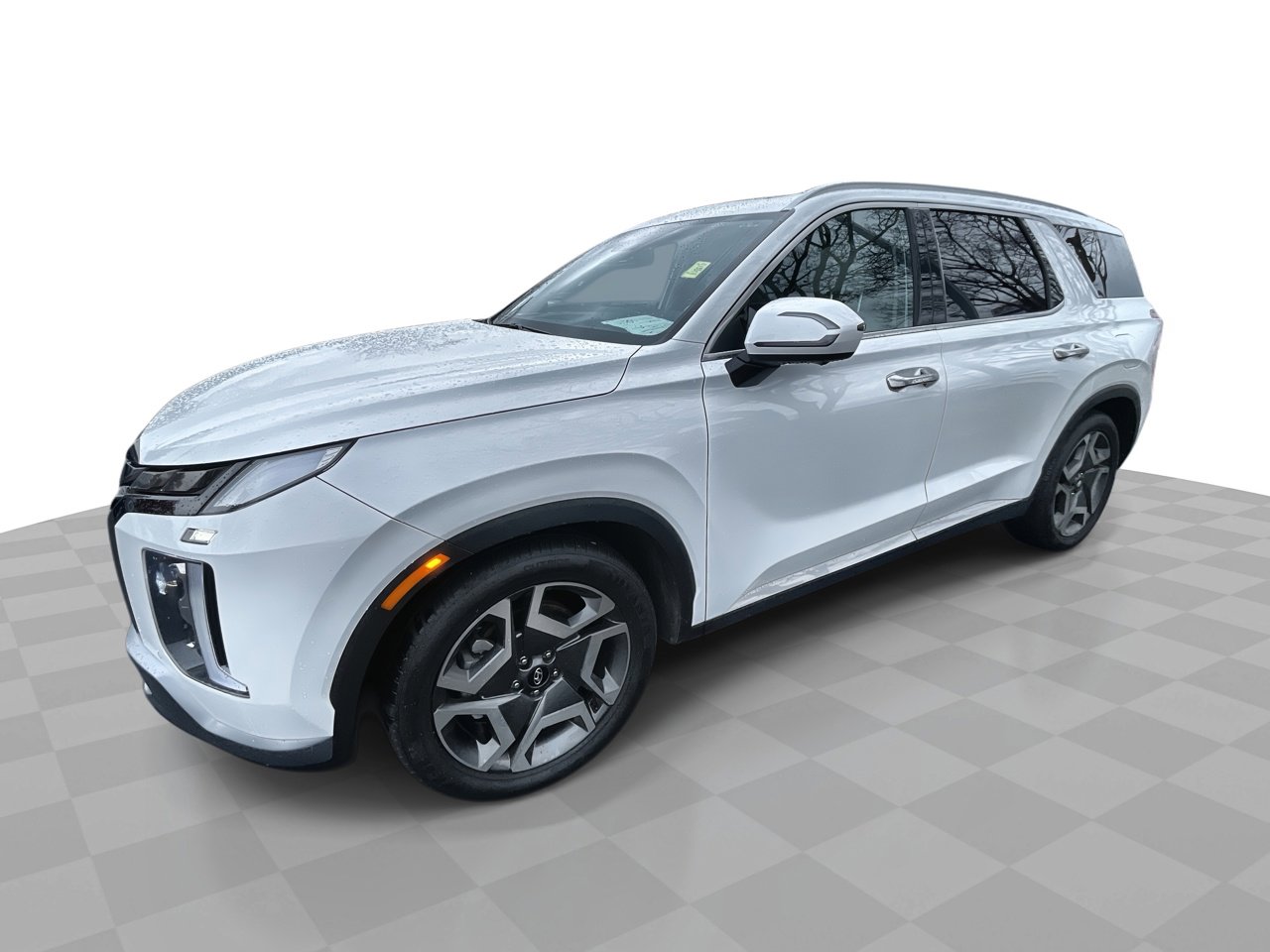 2024 Hyundai Palisade Limited's photo
