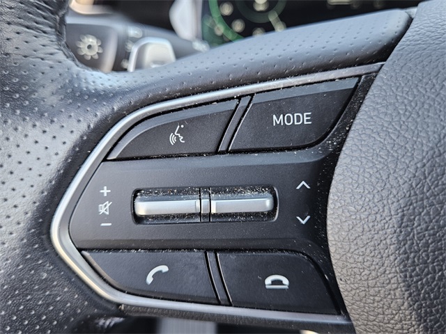 2022 Hyundai Palisade Calligraphy photo 28