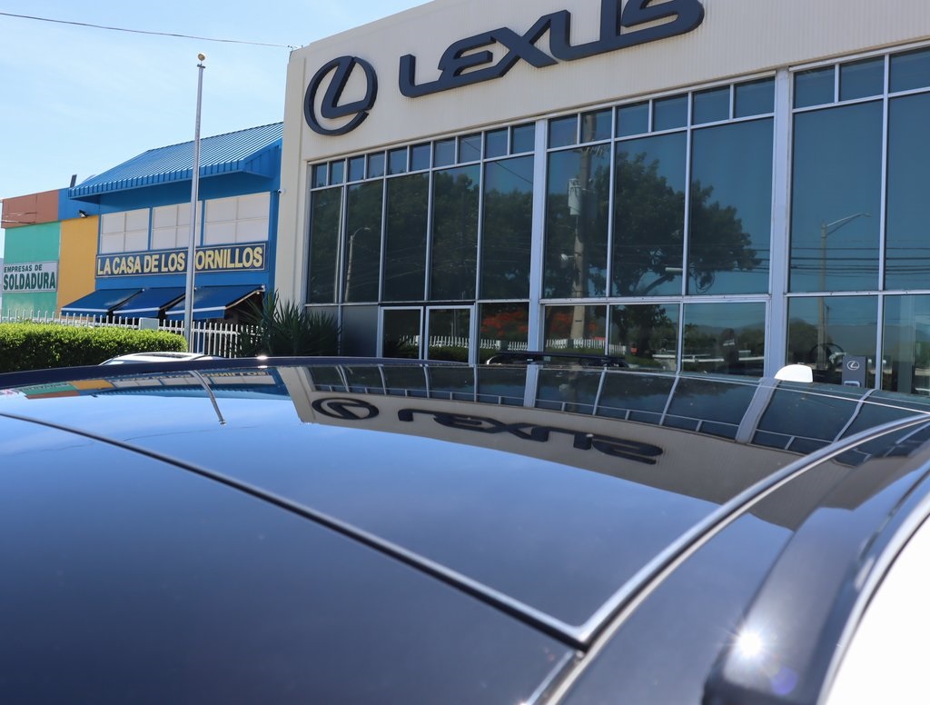 2025 Lexus RX 350 photo 19