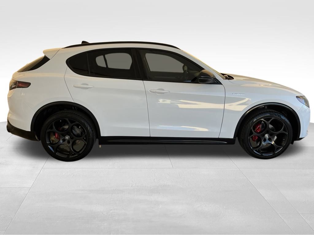 2024 Alfa Romeo Stelvio Tributo Italiano photo 3