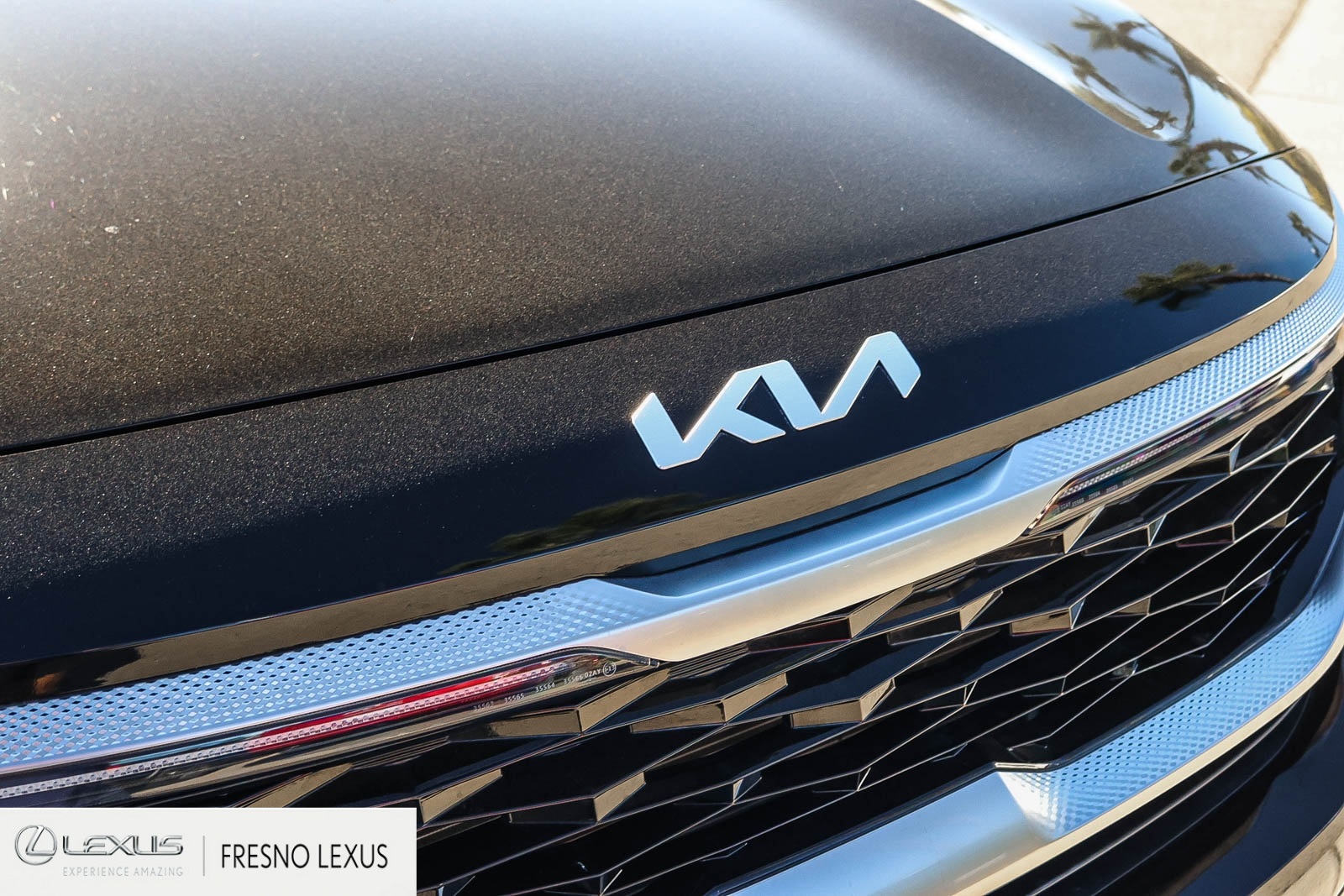 2023 Kia Seltos S photo 11