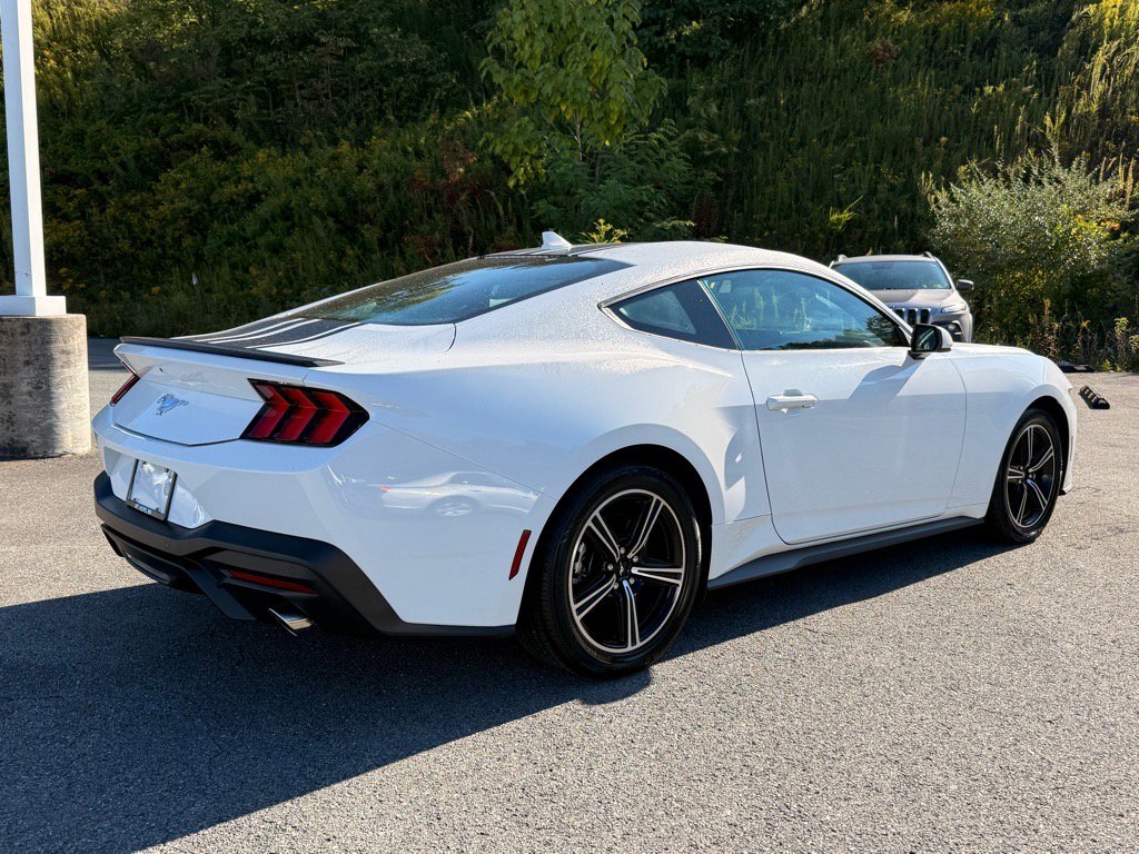 2024 Ford Mustang EcoBoost Premium photo 5