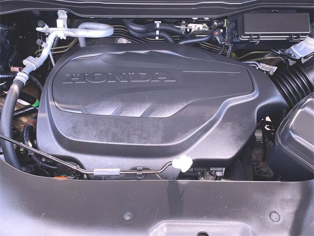 View 29