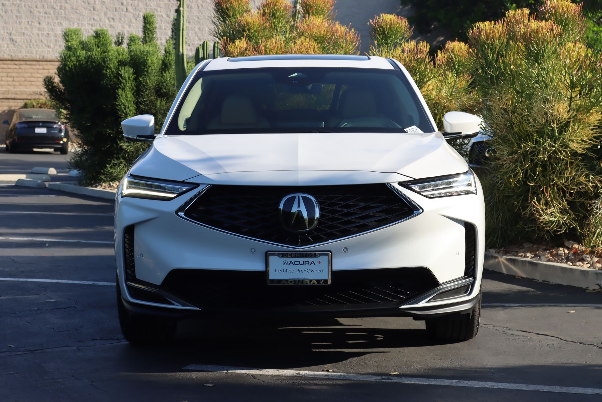 2025 Acura MDX Technology SH-AWD photo 3