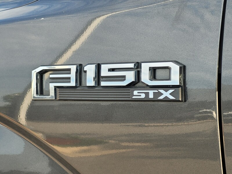 2019 Ford F-150 XL photo 9