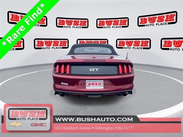 2015 Ford Mustang GT Premium photo 9