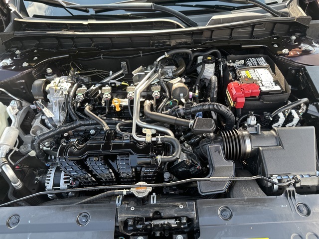 View 25
