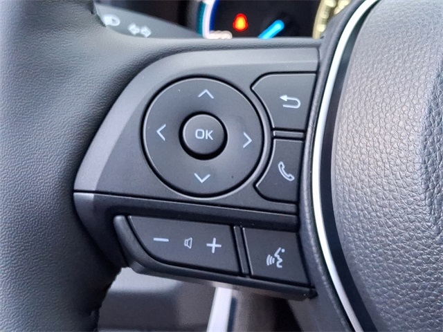 2025 Toyota RAV4 XLE photo 10
