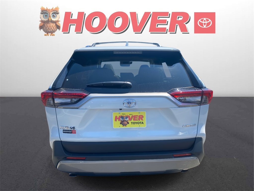 2025 Toyota RAV4 Limited photo 3