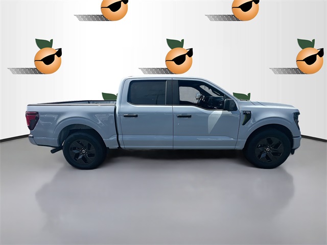 2025 Ford F-150 STX photo 3