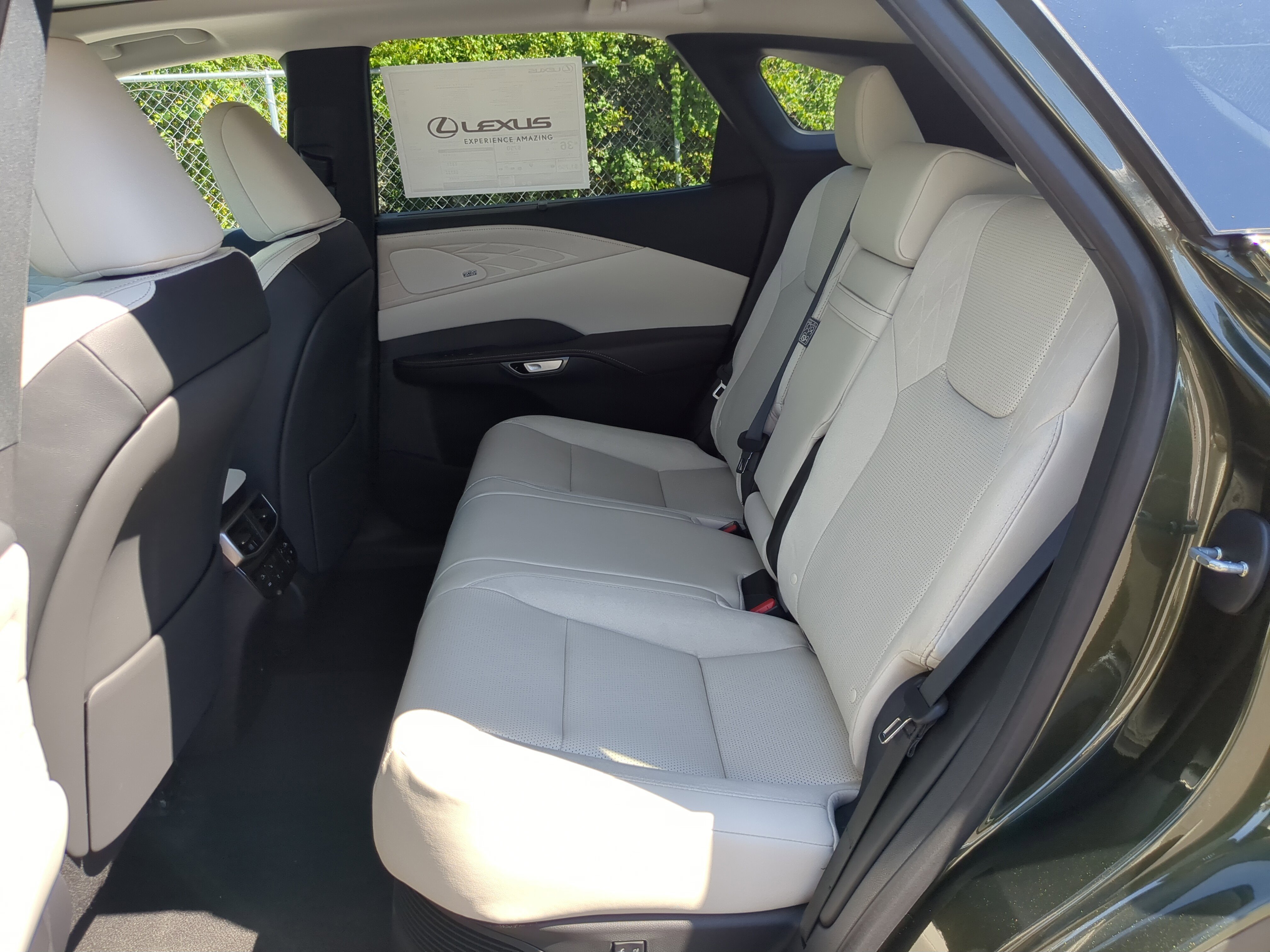 2025 Lexus RX 350h Luxury photo 13