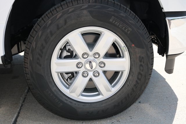 2025 Ford F-150 XL photo 6