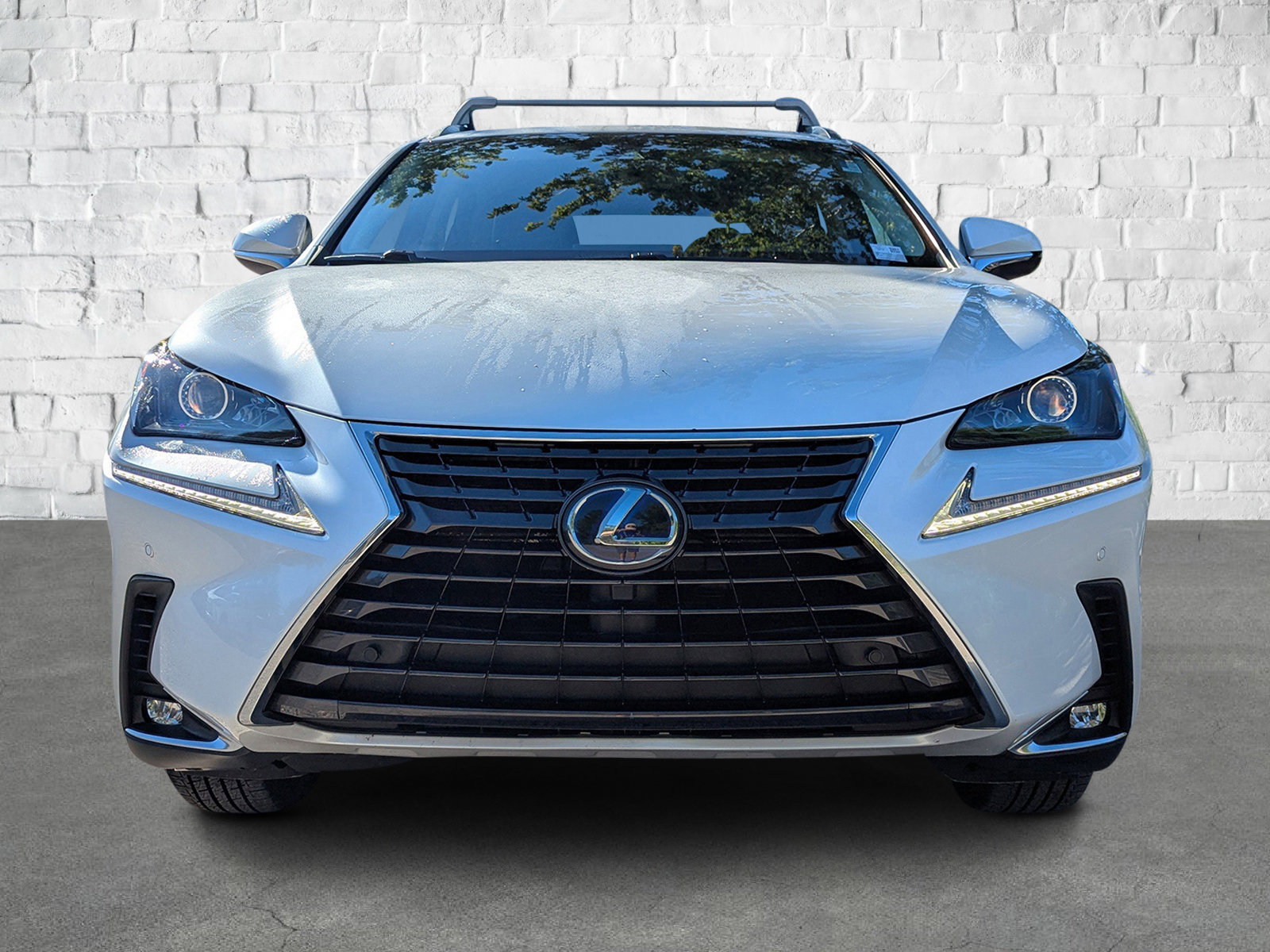 2018 Lexus NX 300h Luxury photo 2