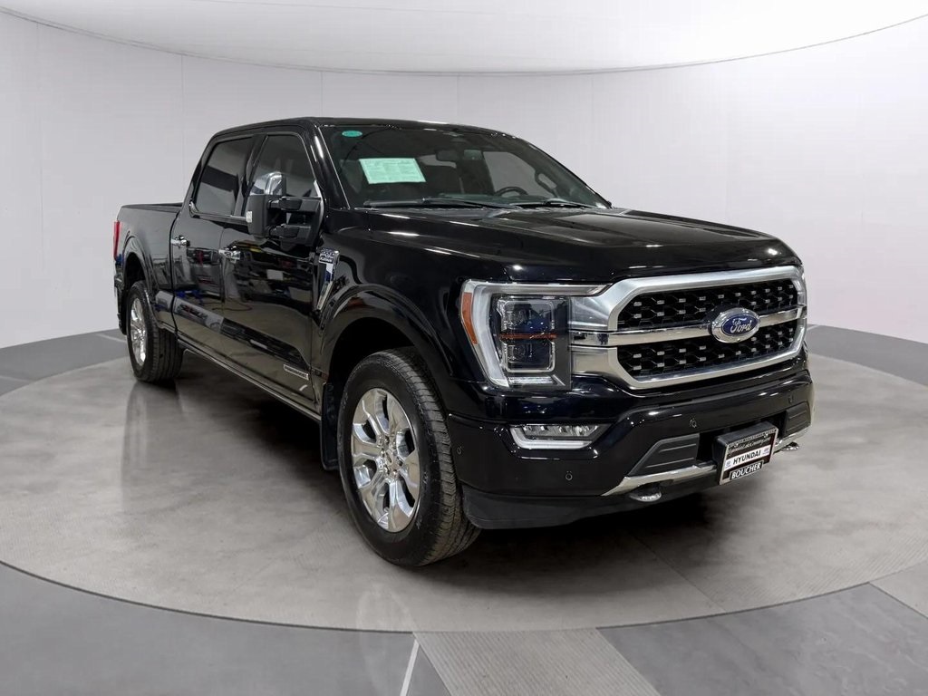 2023 Ford F-150 Platinum's photo