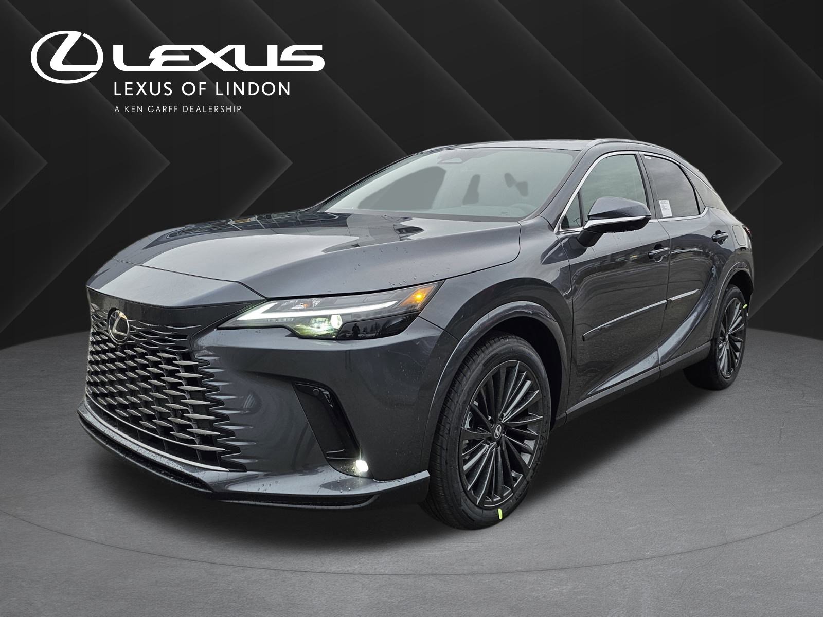 2026 Lexus RX Hybrid 350h's photo