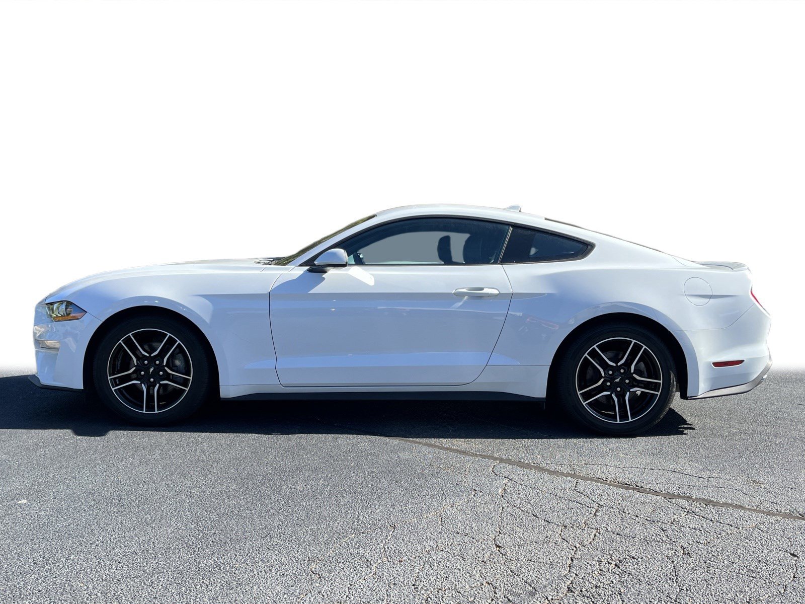 2023 Ford Mustang EcoBoost Premium photo 7