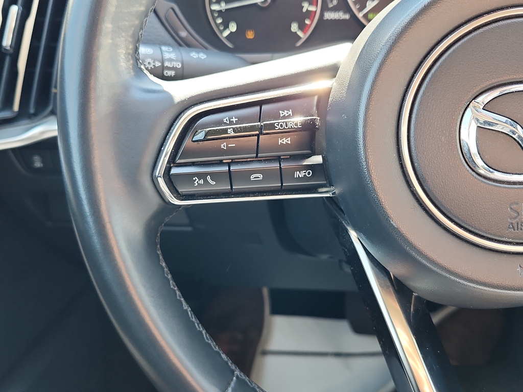 2024 Mazda CX-90 3.3 Turbo Preferred Plus photo 13