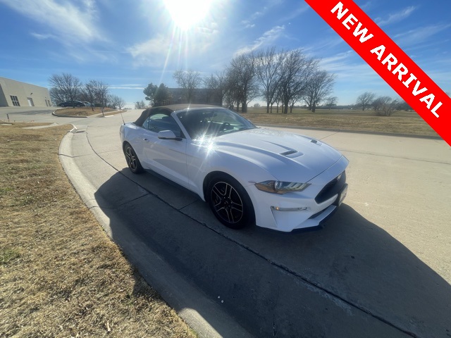 2019 Ford Mustang EcoBoost Premium's photo
