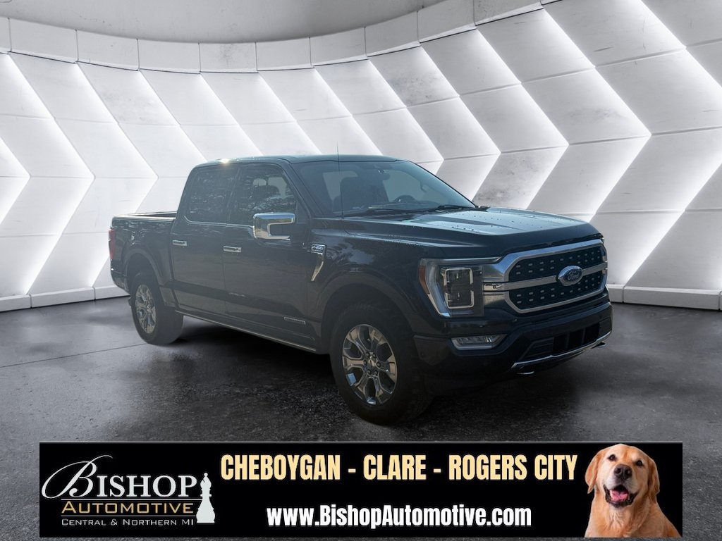 2021 Ford F-150 Platinum photo 12