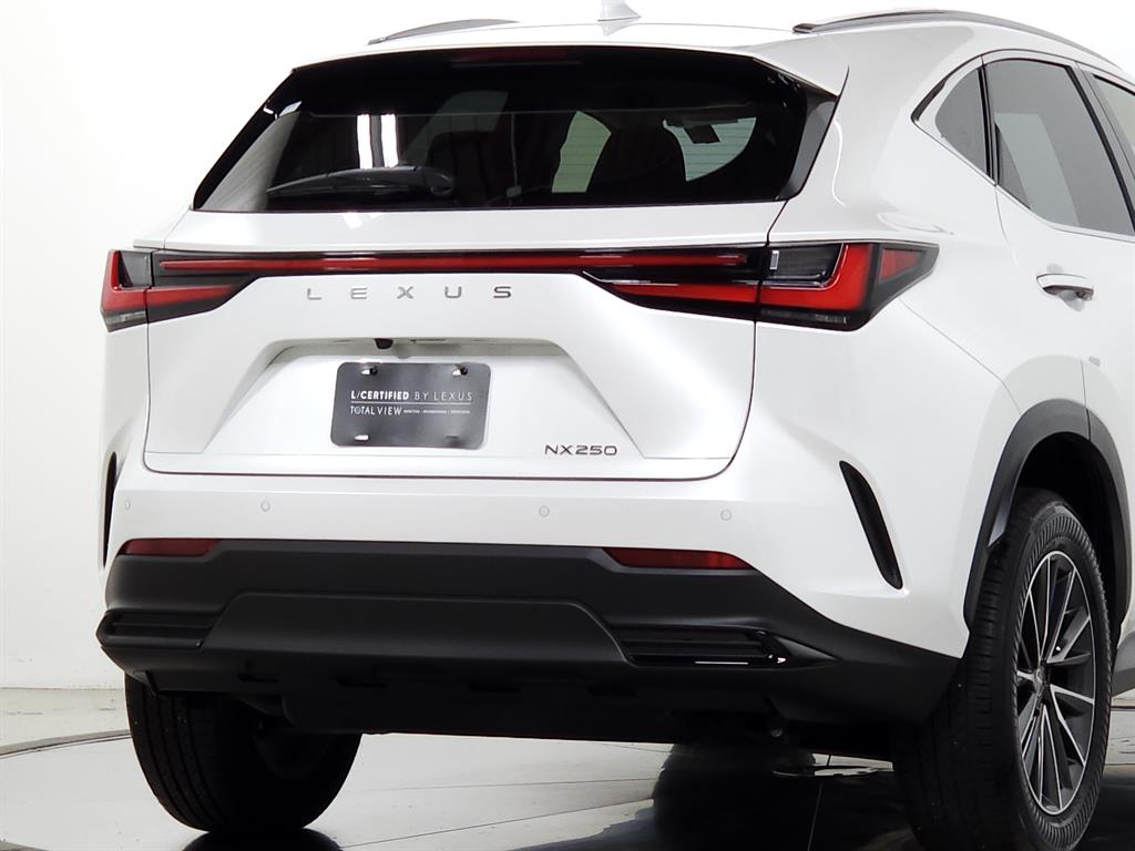 2024 Lexus NX 250 Premium photo 11