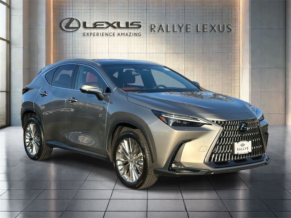 2023 Lexus NX 350's photo