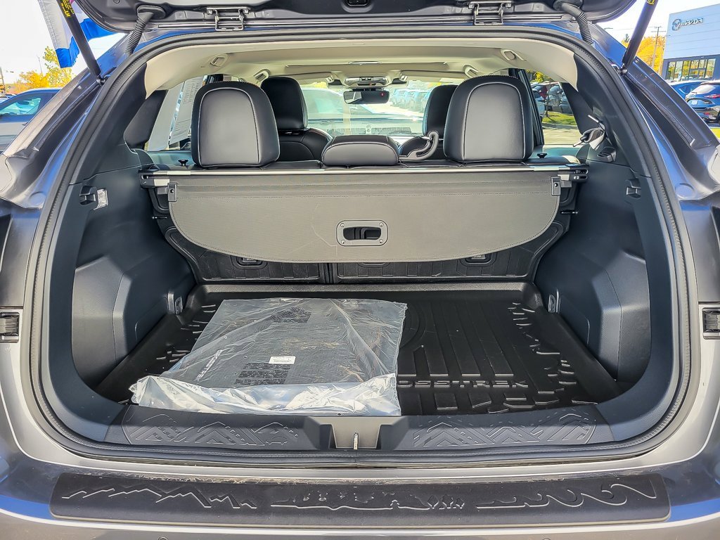 2025 SUBARU CROSSTREK - Image 18