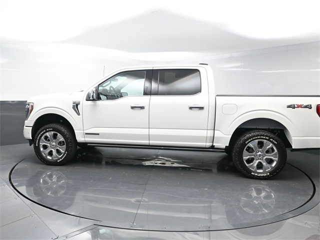 2023 Ford F-150 Platinum photo 4