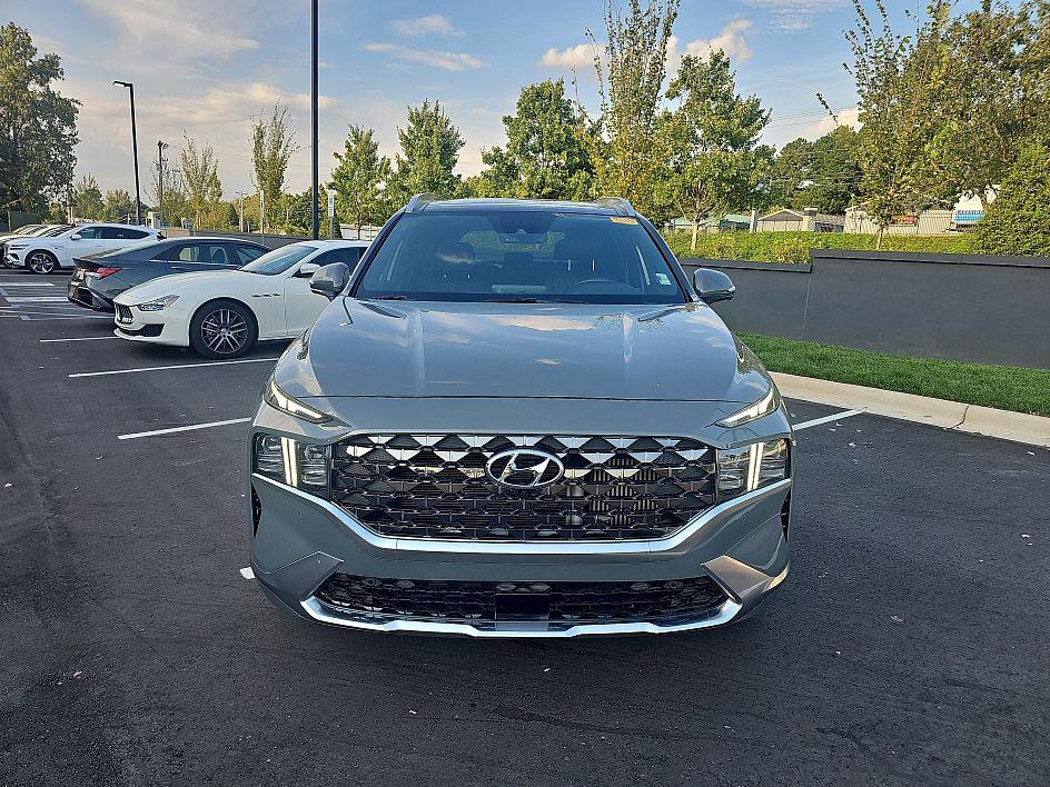 2023 Hyundai Santa Fe Calligraphy photo 7