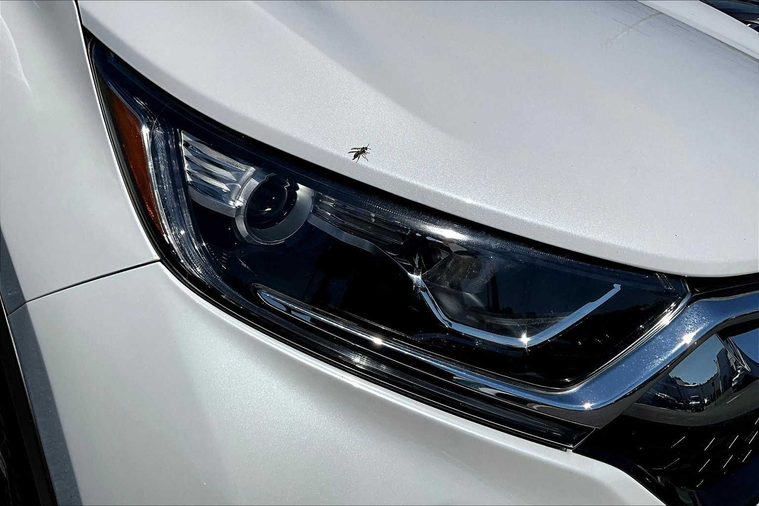 2019 Honda CR-V EX-L photo 17