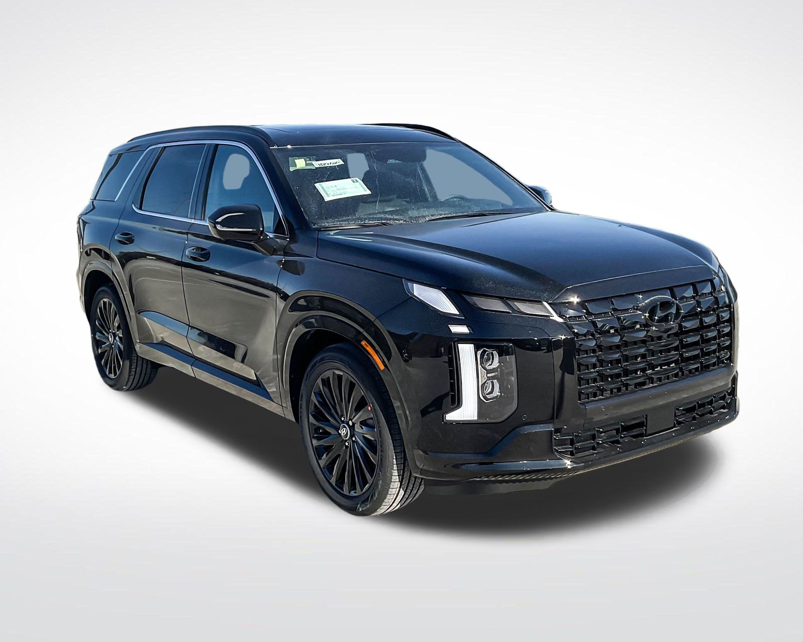 2025 Hyundai Palisade Calligraphy photo 3