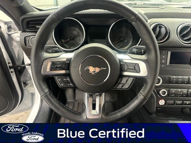 2023 Ford Mustang EcoBoost photo 9