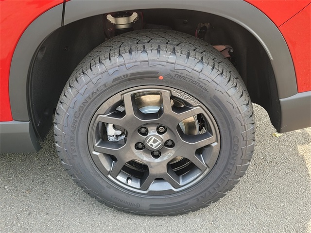 2025 Honda Pilot TrailSport photo 5