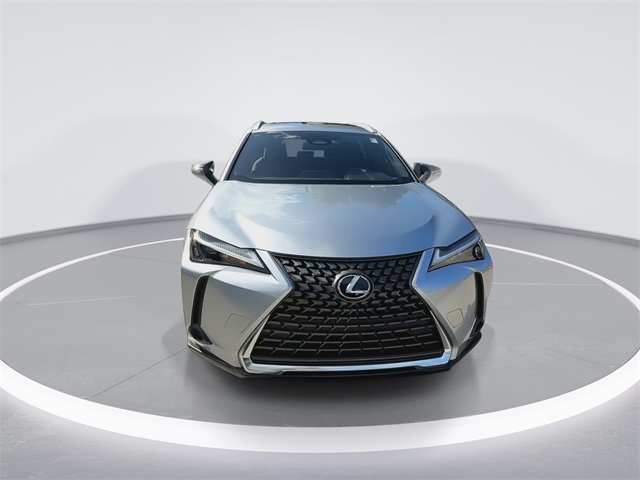 2025 Lexus UX photo 3