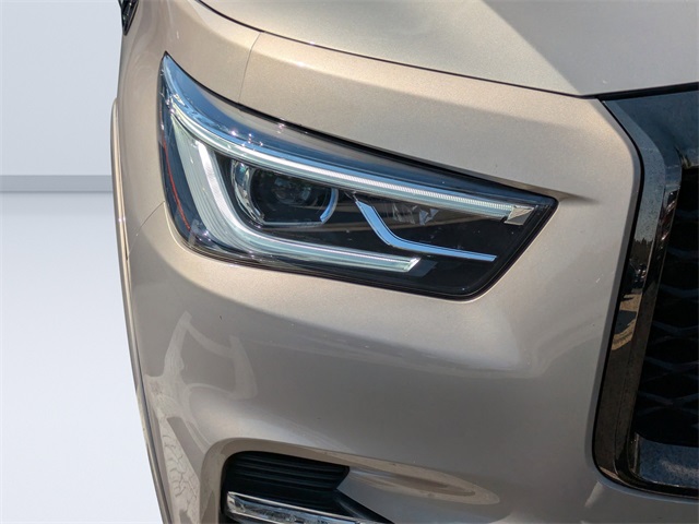 2023 Infiniti QX80 Premium Select photo 9