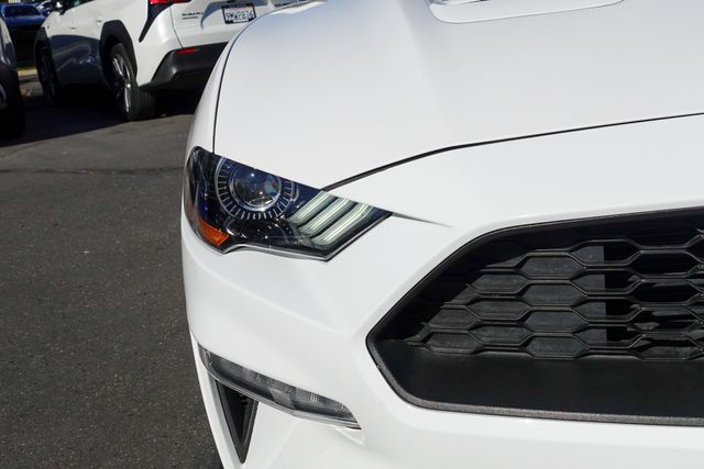 2020 Ford Mustang EcoBoost photo 4