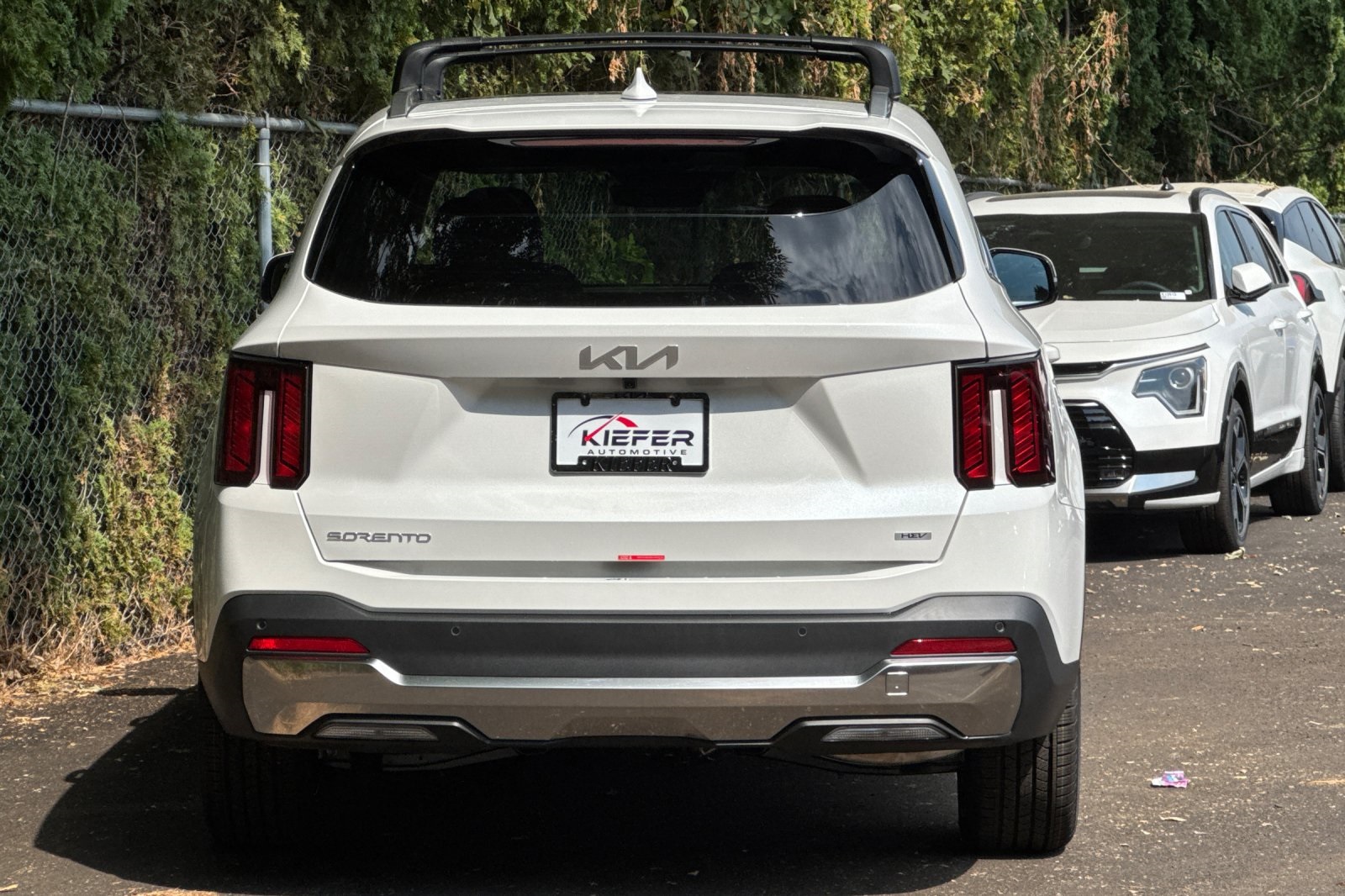 2025 Kia Sorento Hybrid EX photo 3