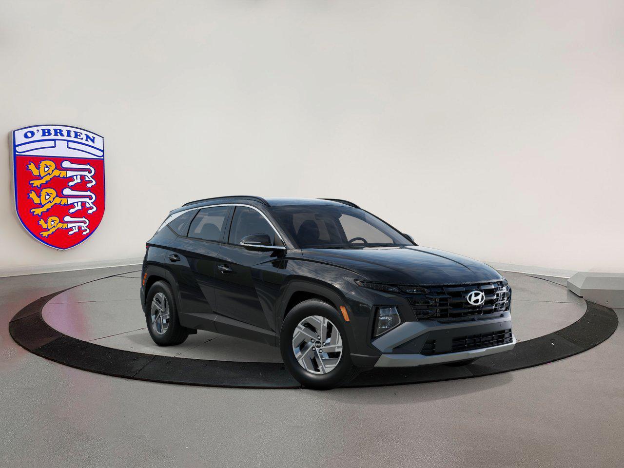 2025 Hyundai Tucson Hybrid Blue photo 2