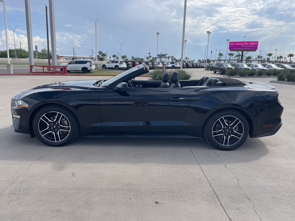 2023 Ford Mustang EcoBoost Premium photo 2